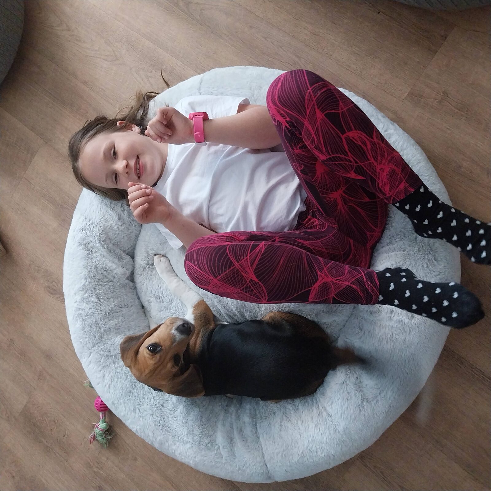 Dětská radost se štěňátkem