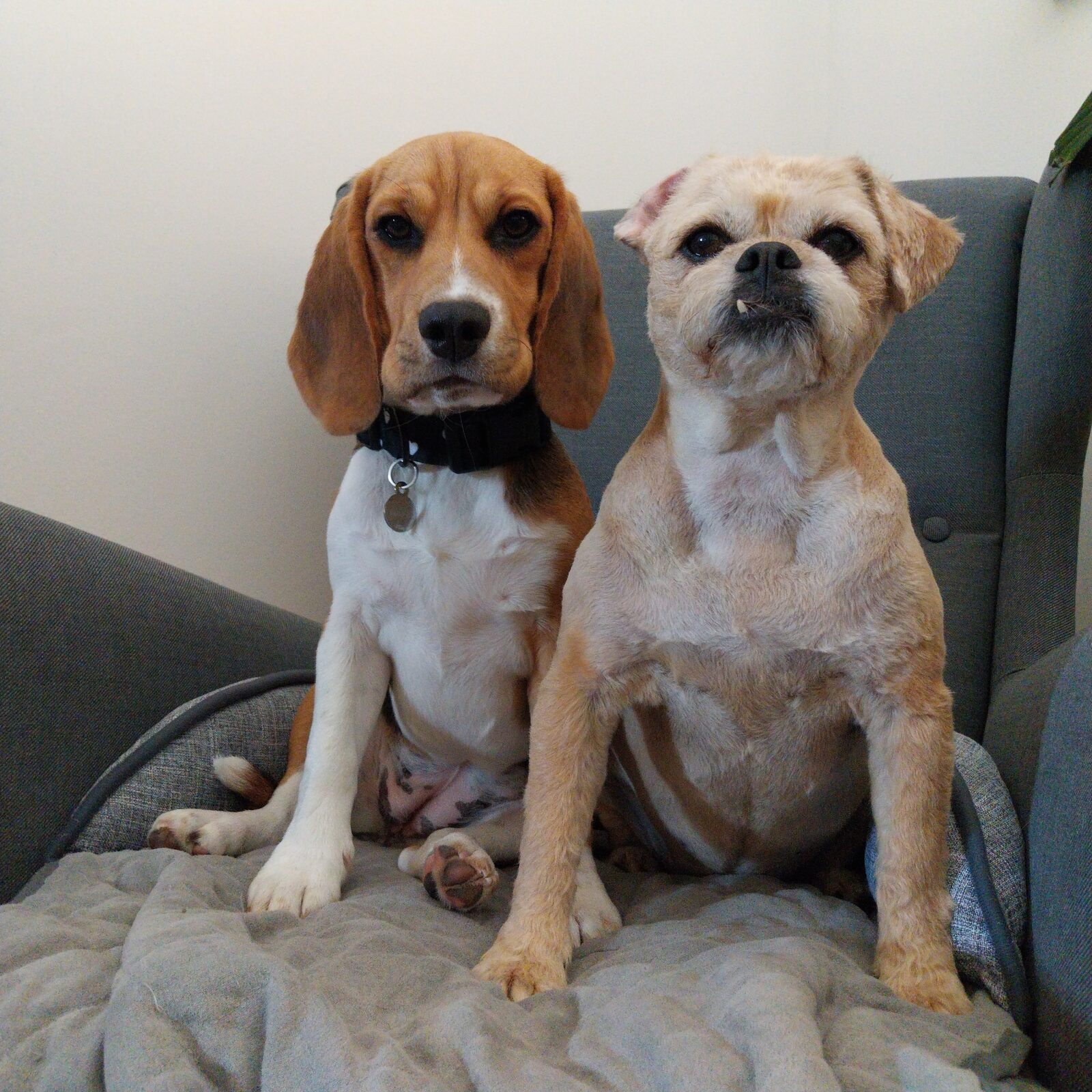 Amálka a Eliška v pelíšku