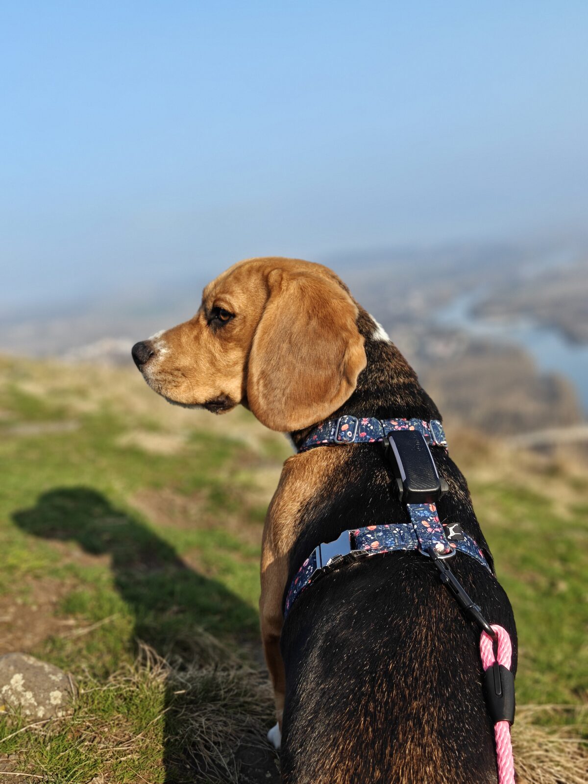 Amálka na kopci s výhledem do údolí