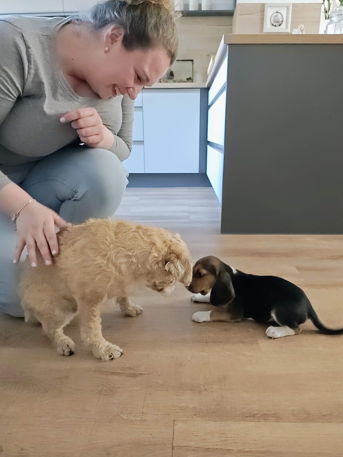 Štěňátko na zahradě