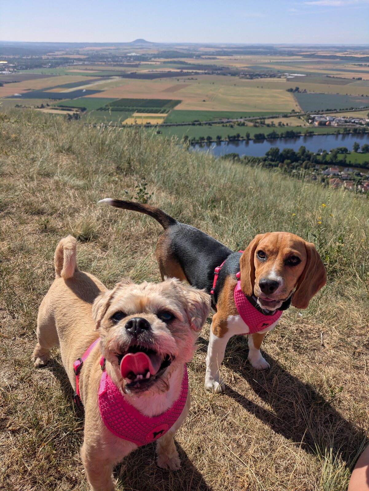 Amálka s hračkou na zahradě